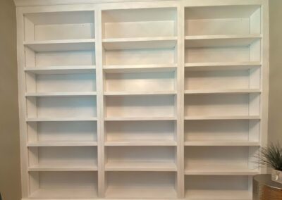 Bookshelves Image